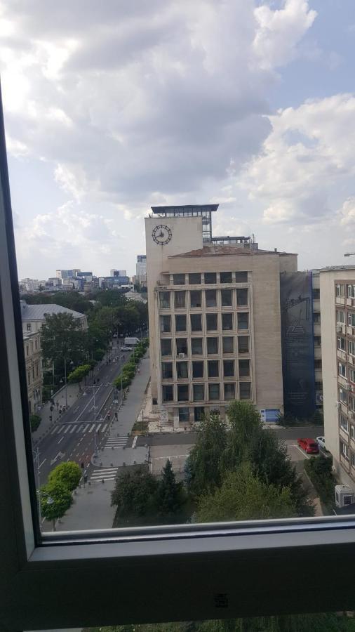 Calea Victoriei Studio Bukarest Exterior foto